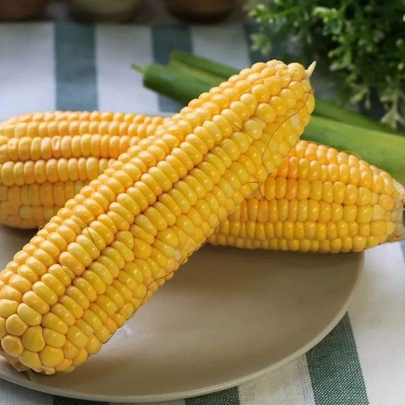 玉米是粗粮， 但这3种玉米不适合糖尿病病友， 大家千万别吃错了