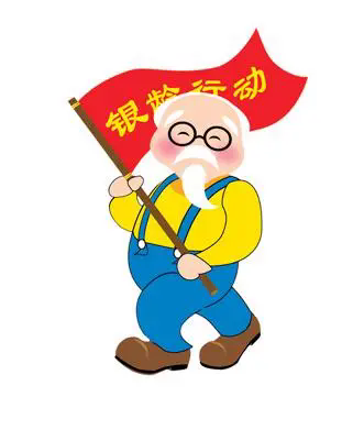 关于全国“银龄行动”志愿服务队伍组建情况的详细阐述