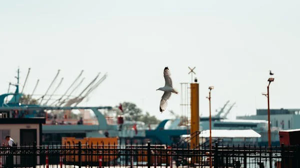养老院卫生状况深度剖析：关乎老人健康与养老行业发展的关键议题